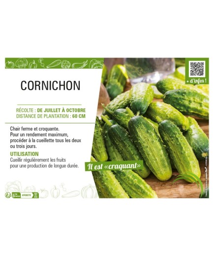 CORNICHON