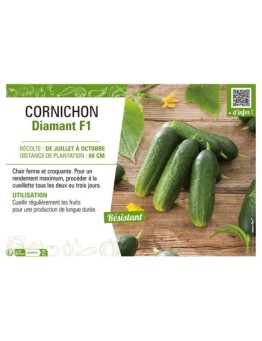 CORNICHON DIAMANT F1