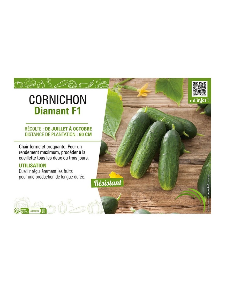 CORNICHON DIAMANT F1