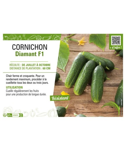 CORNICHON DIAMANT F1