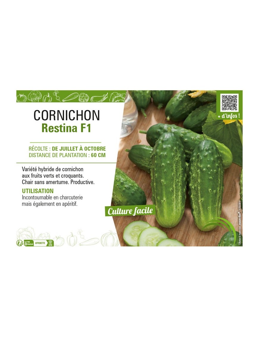 CORNICHON RESTINA F1