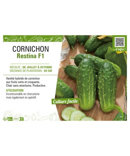 CORNICHON RESTINA F1