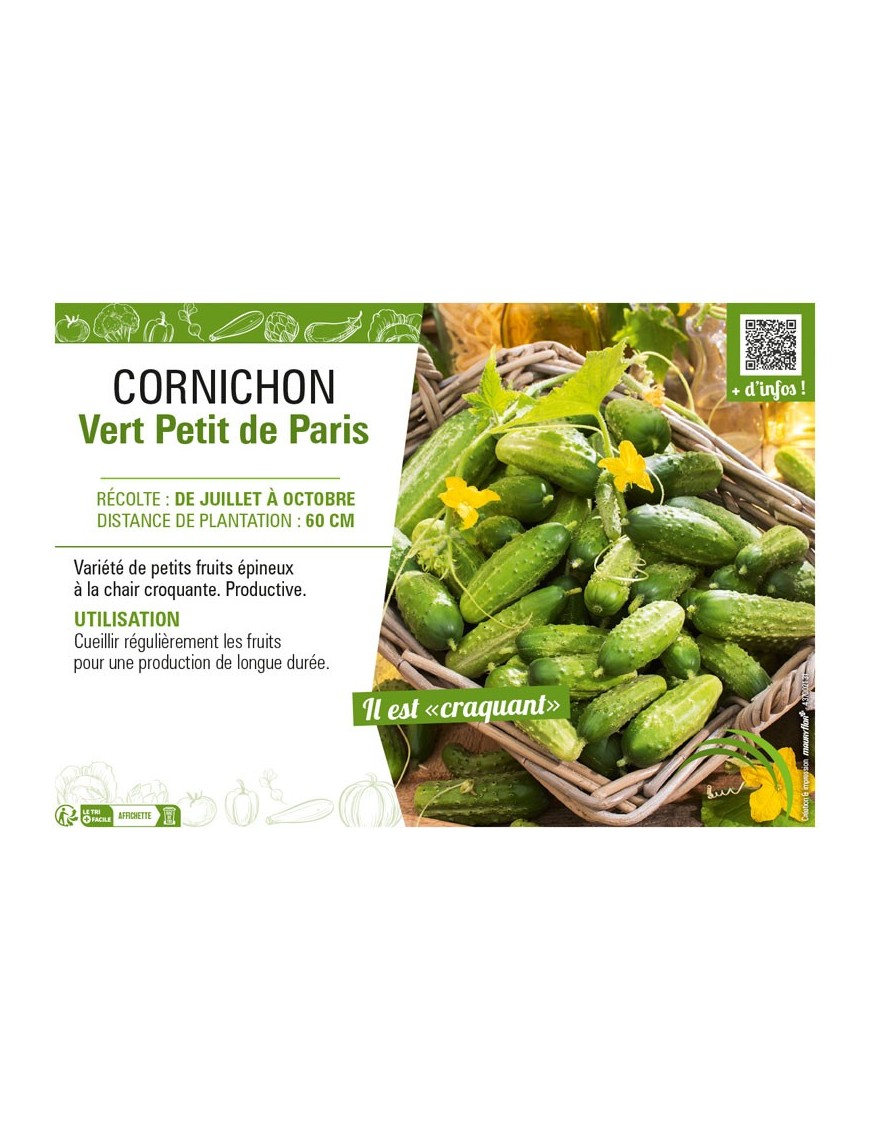 CORNICHON VERT PETIT DE PARIS