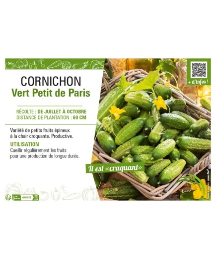 CORNICHON VERT PETIT DE PARIS