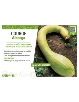 COURGE ALBENGA