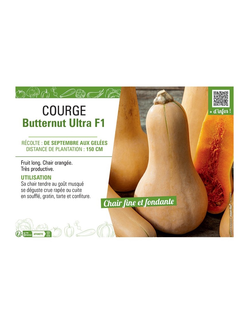COURGE BUTTERNUT ULTRA F1