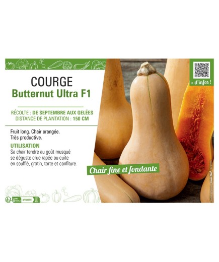 COURGE BUTTERNUT ULTRA F1