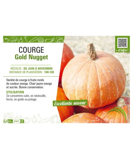 COURGE GOLD NUGGET