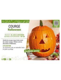 COURGE HALLOWEEN