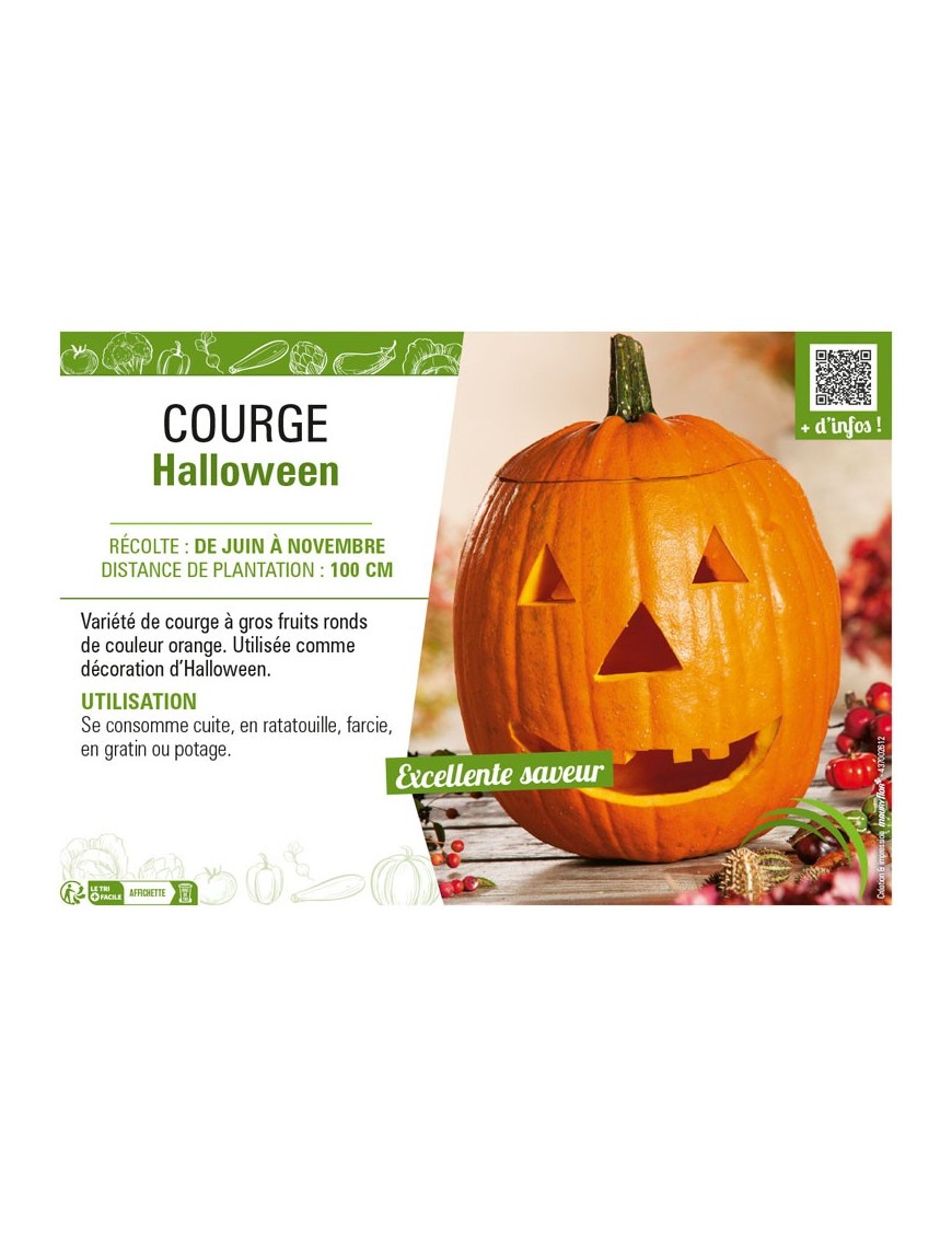 COURGE HALLOWEEN