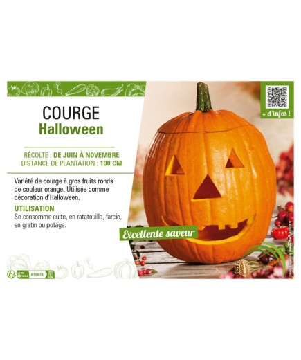 COURGE HALLOWEEN