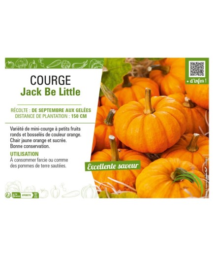 COURGE JACK BE LITTLE