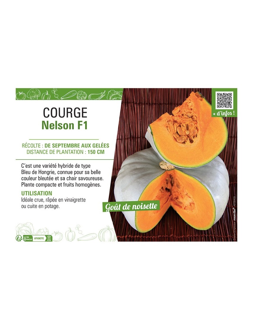 COURGE NELSON F1
