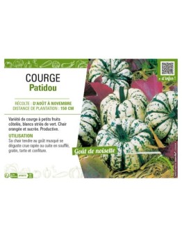 COURGE PATIDOU