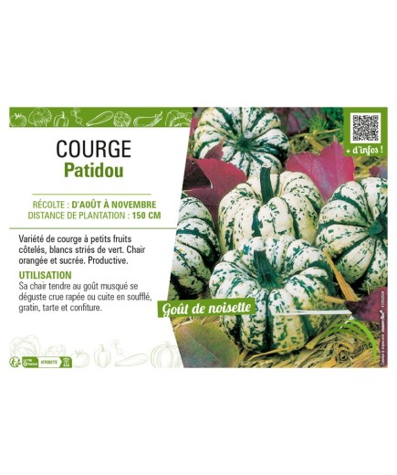 COURGE PATIDOU
