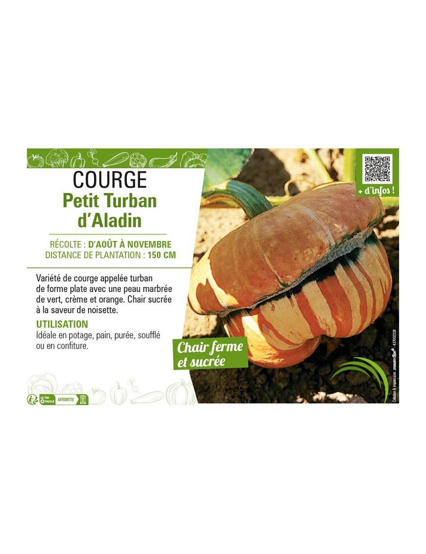 COURGE PETIT TURBAN D'ALADIN