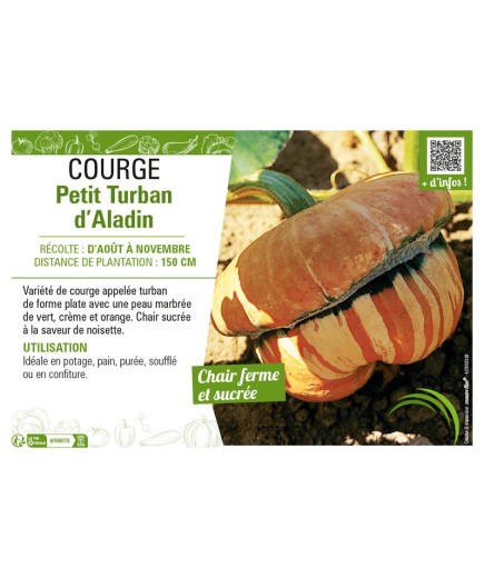 COURGE PETIT TURBAN D'ALADIN