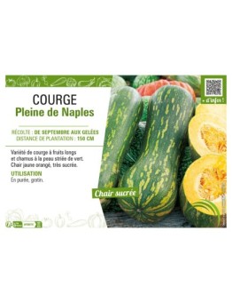 COURGE PLEINE DE NAPLES