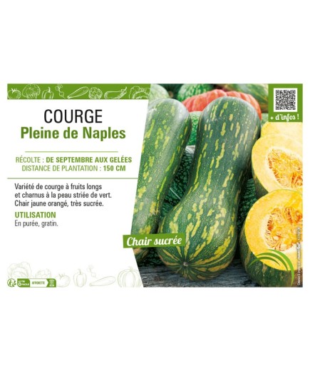 COURGE PLEINE DE NAPLES