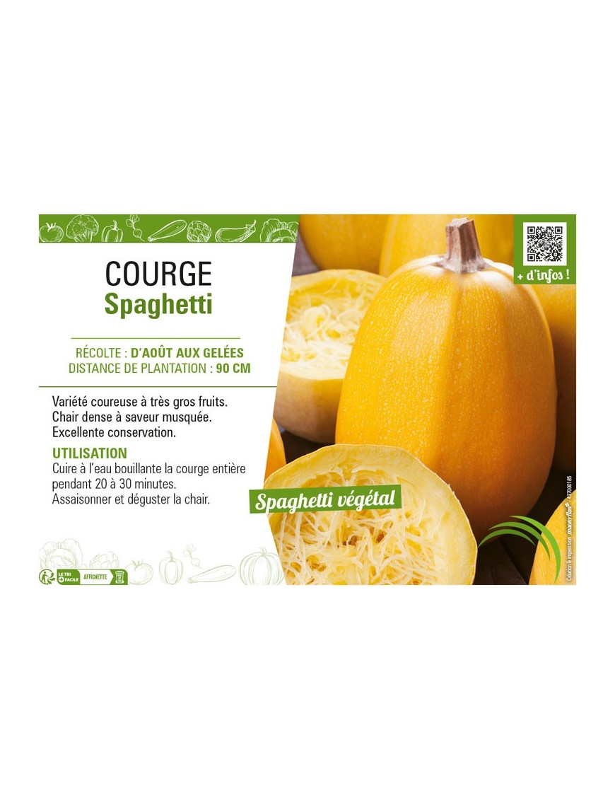 COURGE SPAGHETTI