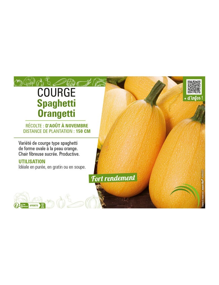 COURGE SPAGHETTI ORANGETTI