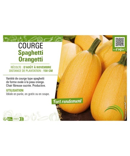 COURGE SPAGHETTI ORANGETTI