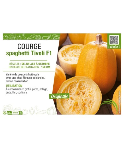 COURGE SPAGHETTI TIVOLI F1