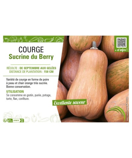 COURGE SUCRINE DU BERRY