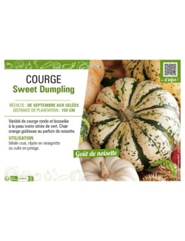 COURGE SWEET DUMPLING