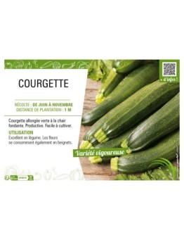 COURGETTE
