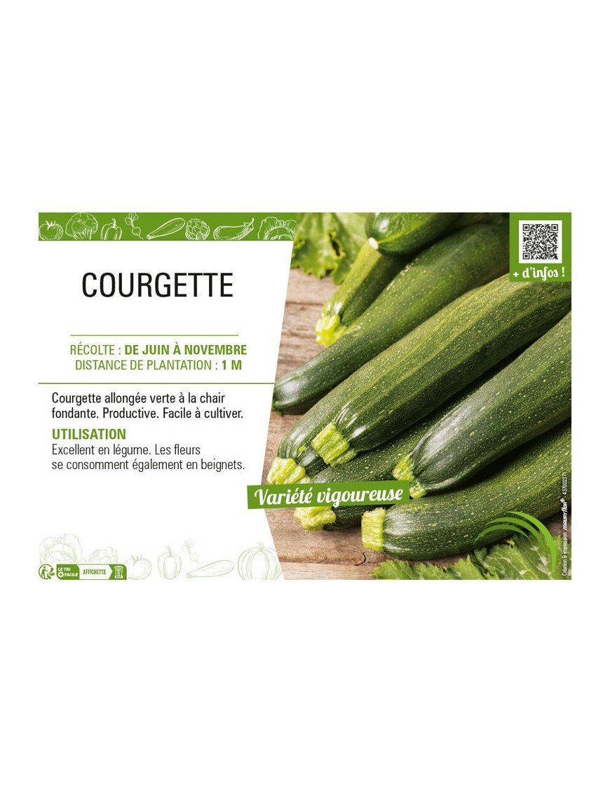 COURGETTE