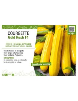 COURGETTE (JAUNE) GOLD RUSH F1