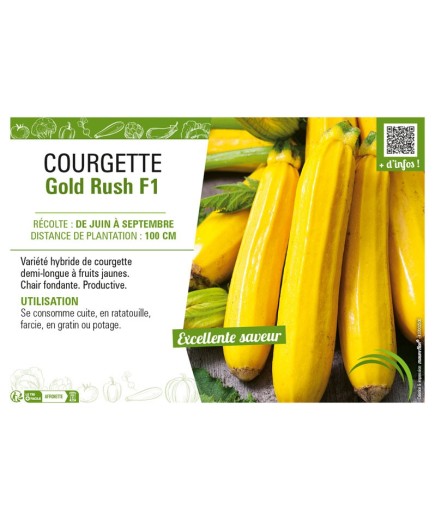 COURGETTE (JAUNE) GOLD RUSH F1