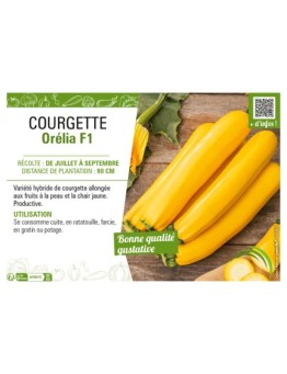 COURGETTE (JAUNE) ORÉLIA F1