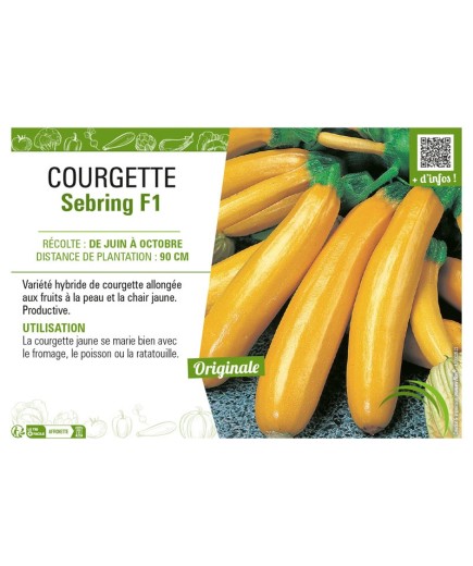 COURGETTE (JAUNE) SEBRING F1