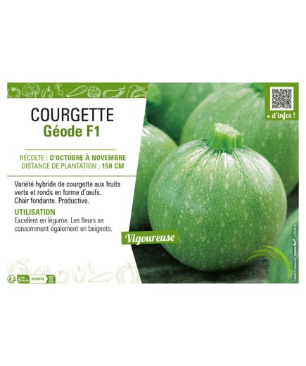 COURGETTE (RONDE) GÉODE F1