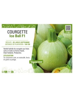 COURGETTE (RONDE) ICE BALL F1