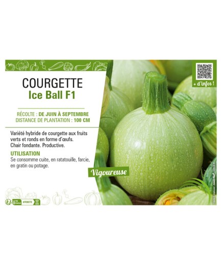 COURGETTE (RONDE) ICE BALL F1