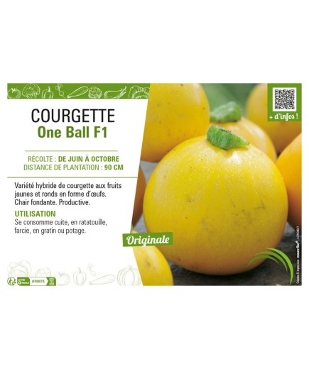 COURGETTE (RONDE) ONE BALL F1