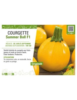 COURGETTE (RONDE) SUMMER BALL F1