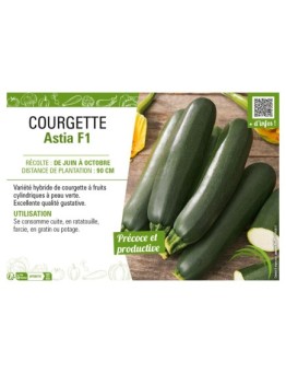 COURGETTE ASTIA F1