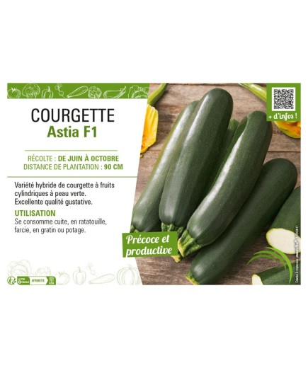 COURGETTE ASTIA F1