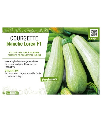 COURGETTE BLANCHE LOREA F1