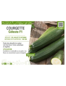 COURGETTE CÉLESTE F1