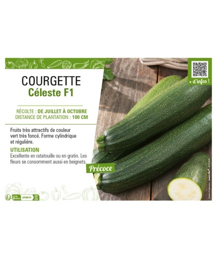 COURGETTE CÉLESTE F1