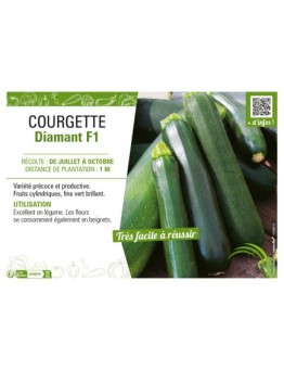 COURGETTE DIAMANT F1
