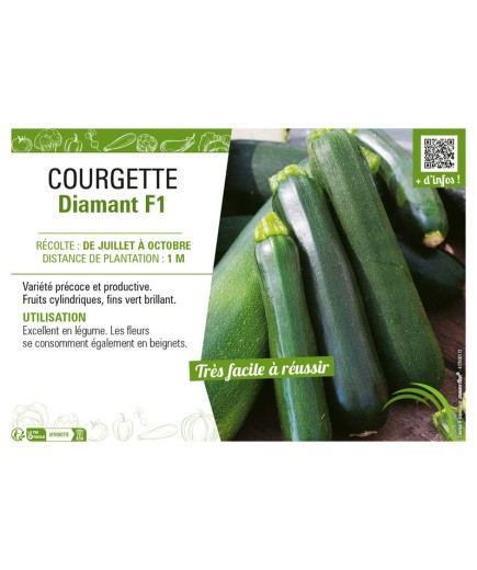 COURGETTE DIAMANT F1