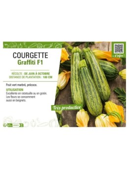 COURGETTE GRAFFITI F1