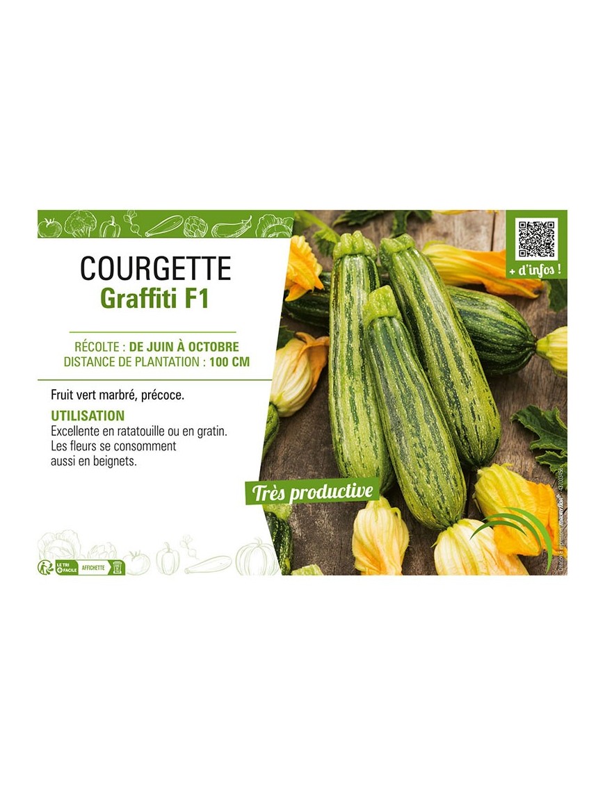 COURGETTE GRAFFITI F1
