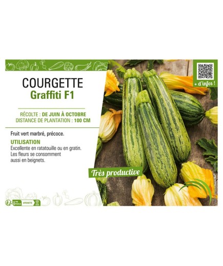 COURGETTE GRAFFITI F1